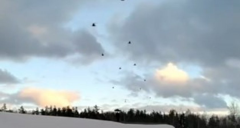 Десятки военных вертолетов пролетели над Нижегородской областью: куда они направлялись