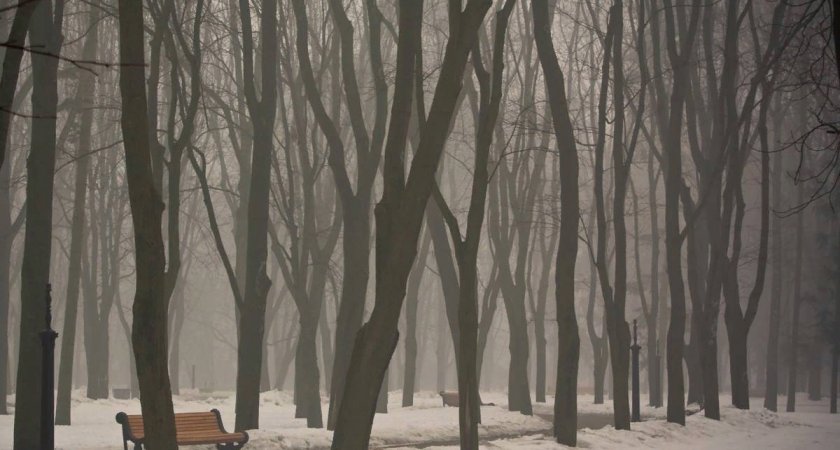 В Нижнем Новгороде  начинается оттепель