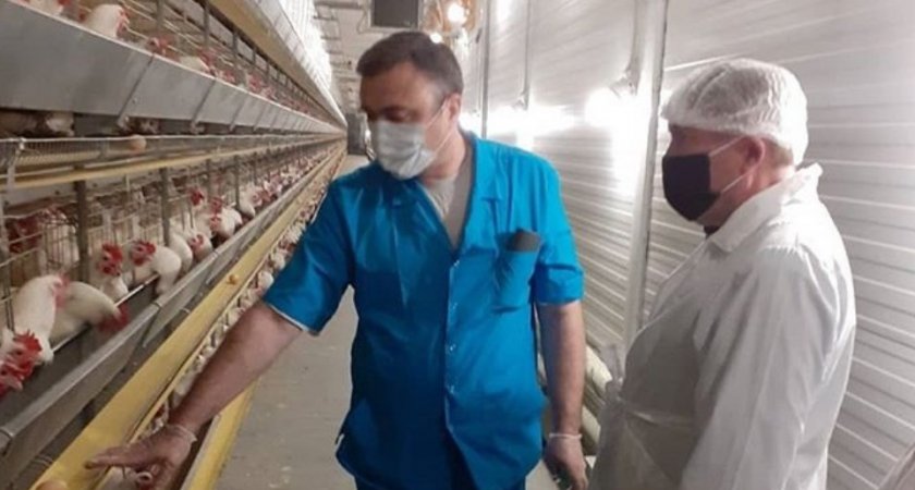Нижегородская птицефабрика не торопится устранять нарушения и копит предписания