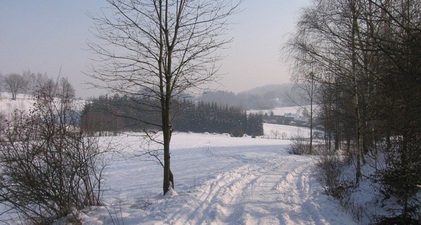 Порывистый ветер накроет Нижегородскую область