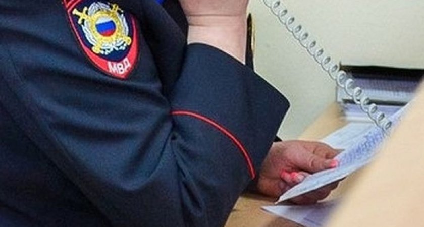 Нижегородский риелтор обманула государство на 9 миллионов 