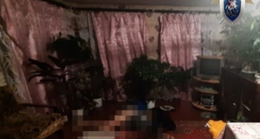 В Нижегородской области убили женщину за прилюдное оскорбление