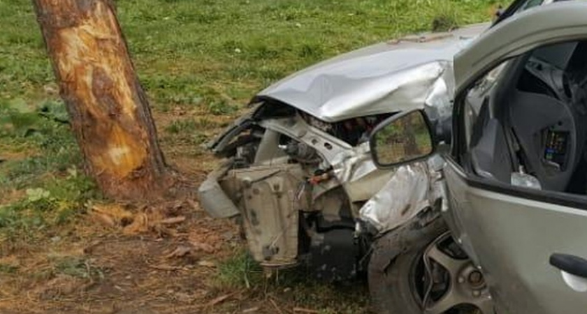 Пенсионер погиб, врезавшись в дерево на своем авто в Нижнем Новгороде