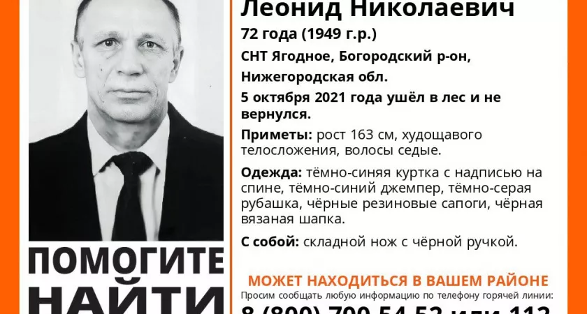Фото к статье: Пенсионер выжил после 4 дней скитания в лесах Нижегородской области
