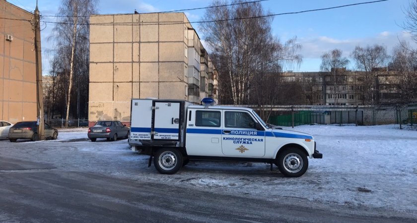 В Нижнем Новгороде детский сад и школу эвакуировали из-за сообщения о взрывном устройстве