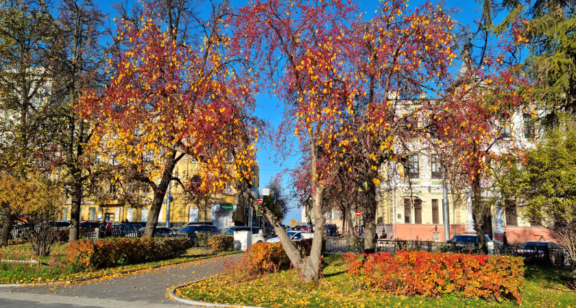 Первая треть ноября будет теплее, чем обычно в Нижнем Новгороде