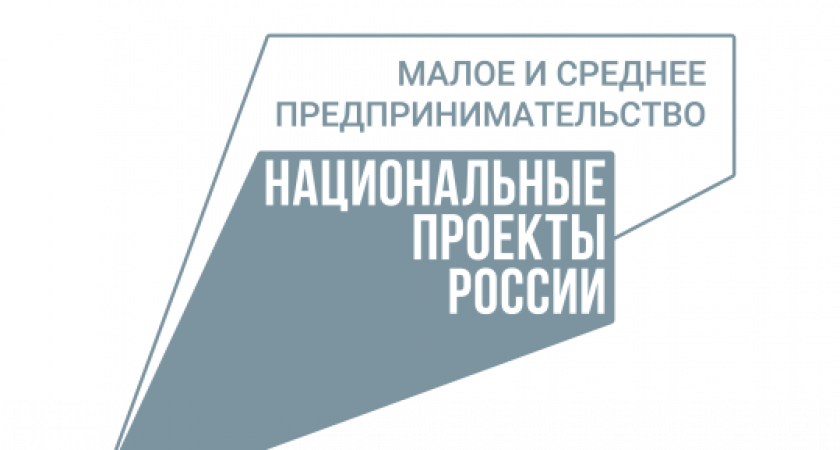 Прием заявок на гранты до 500 тысяч рублей для социальных предпринимателей стартовал в Ниж