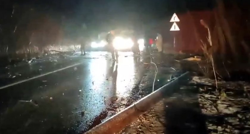 Водитель спас нижегородцев, попавших в пробку, распилив дерево, которое перекрыло трассу