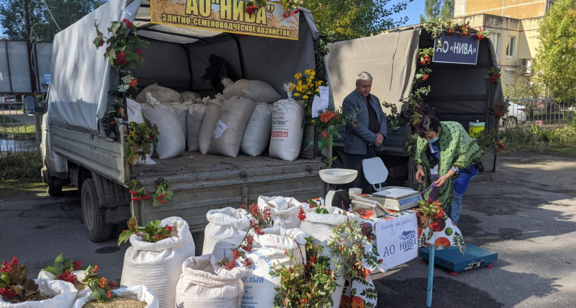 Андрей Саносян и Николай Денисов осмотрели сельскохозяйственные ярмарки в Нижнем Новгороде