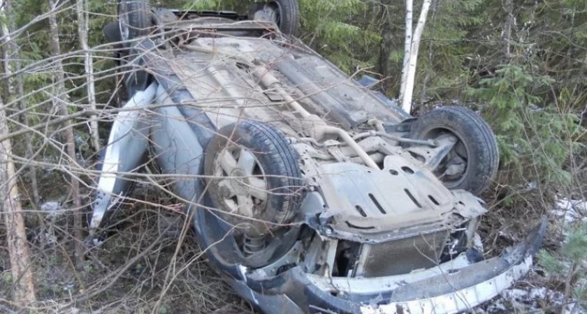 Водитель на Mitsubishi улетел в кювет и погиб в Нижегородской области