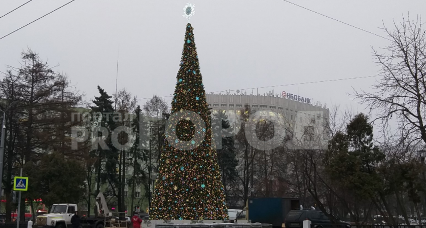 Новогоднюю елку установили в центре Нижнего Новгорода