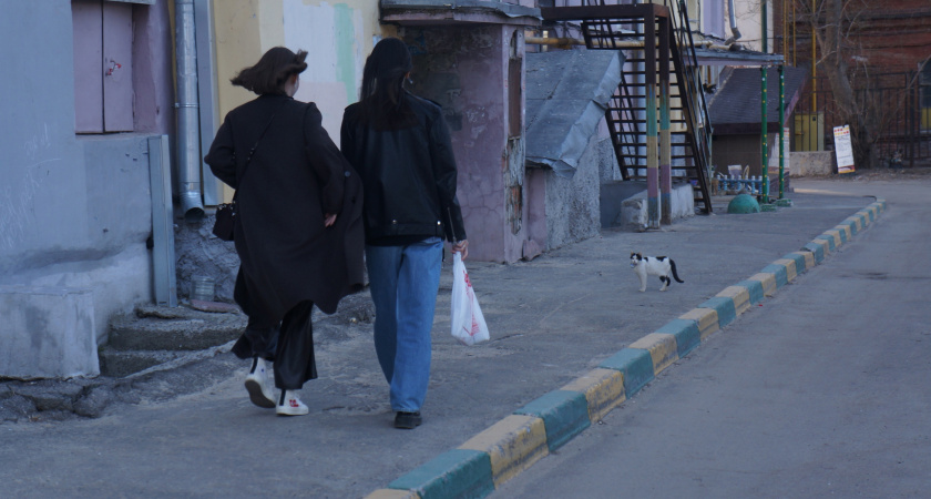  Назвали группу людей с наиболее высоким риском заболеть гриппом