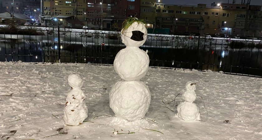 Жители Нижегородской области массово выкладывают фотографии слепленных снеговиков 