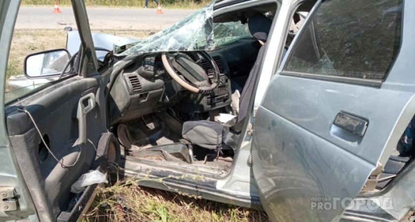 В Нижегородской области 18-летний водитель погиб, врезавшись в лося