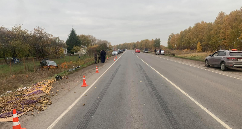 Пьяный слесарь на BMW сбил насмерть продавщицу картошки на обочине в Нижегородской области