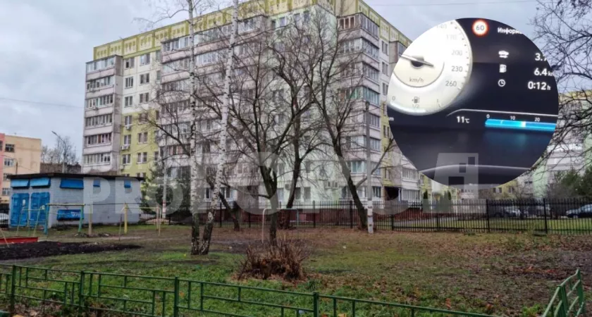 Фото к статье: Температура в Нижнем Новгороде в последний день осени достигла рекордных 11 градусов тепла