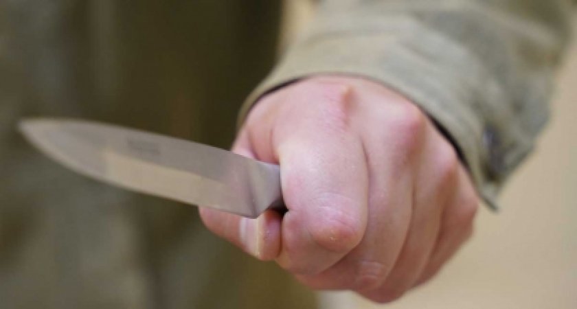 В Нижегородской области женщина спаслась после удара в шею ножом от убийцы-рецидивиста