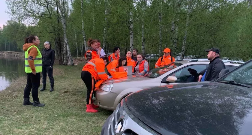 Фото к статье: Переживший инсульт пенсионер пропал в лесу в Богородском районе