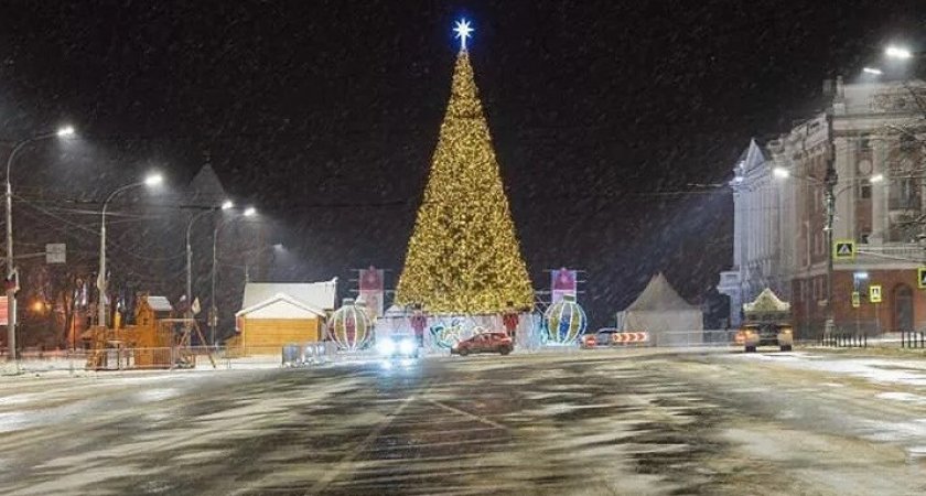 Стало известно, сколько нижегородские власти готовы потратить на новогодние елки