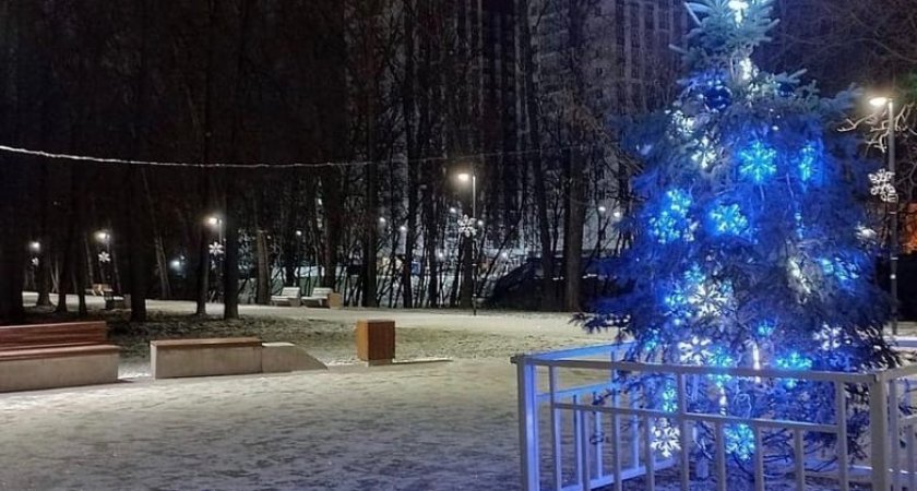 Одну из елок защитили забором от вандалов в Нижнем Новгороде 