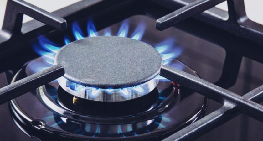 Нижегородская Госжилинспекция помогла вернуть жителю Починковского района почти 18 тысяч