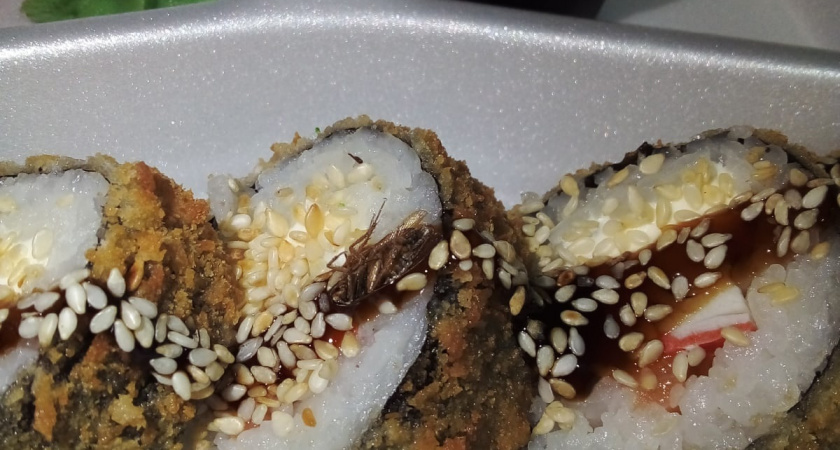 Жительница Павлова купила суши с тараканом