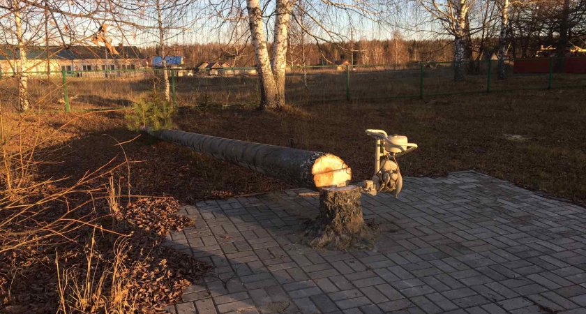 В нижегородской глубинке открыли памятник бензопиле
