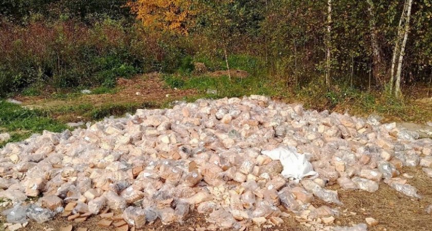 Жители Нижегородской области выложили фото десятков кило брошенного хлеба после учений 