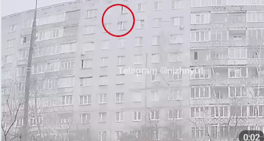 Полицейские проверят квартиру, из которой выкинули кота в Нижнем Новгороде (видео)