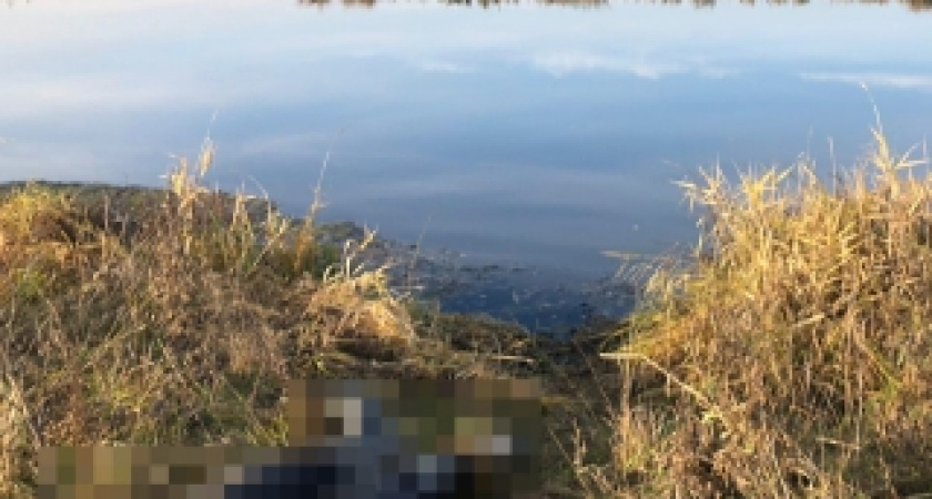 Тело нижегородца найдено в Бутурлино в реке Пьяна 