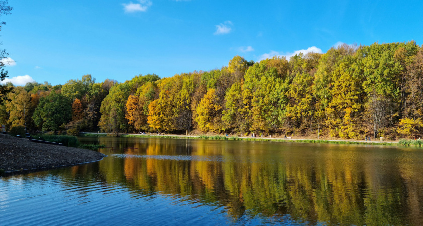 Поймать золотую осень за хвост: топ 5 мест в черте Нижнего Новгорода для удивительных фото