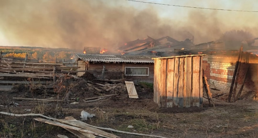 Что известно о доме в Вознесенском районе, где заживо сгорели трое детей 