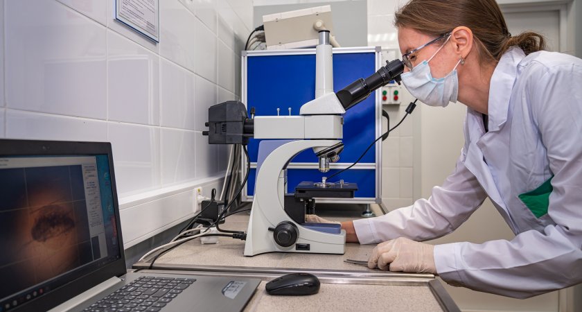 АО «Транснефть–Верхняя Волга» в январе-марте выполнило более 9 тысяч экологических проб