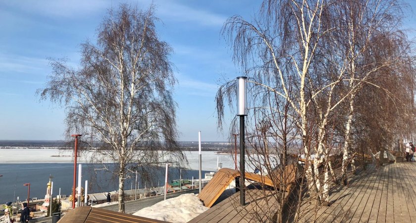 Резкое потепление: в Нижнем Новгороде ожидается температурный скачок