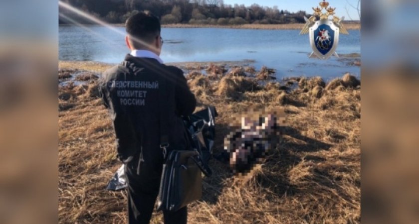 В Воскресенском районе 17-летний подросток утонул, возвращаясь домой