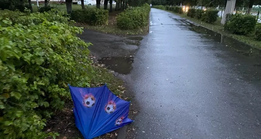 Фото к статье: Пропавшего нижегородского ребенка успели довезти до Пермского края