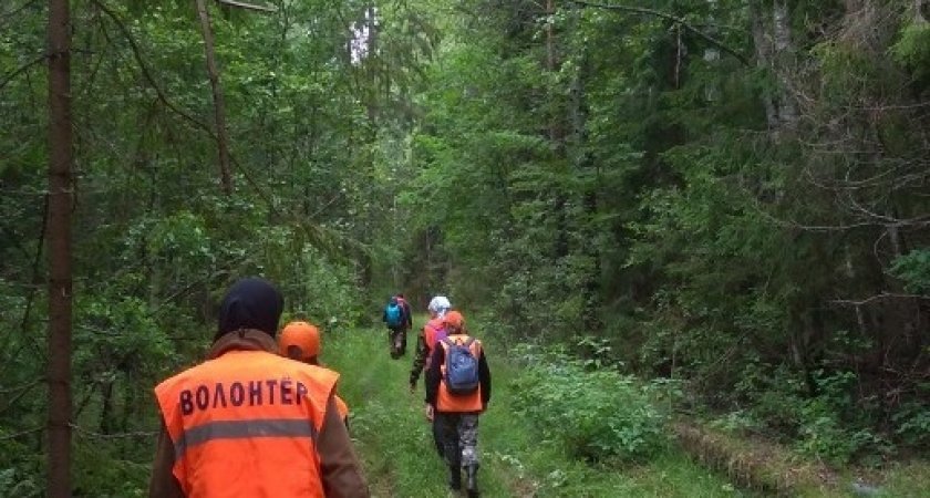 В Нижегородской области ищут психически больного, который сбежал из больницы  