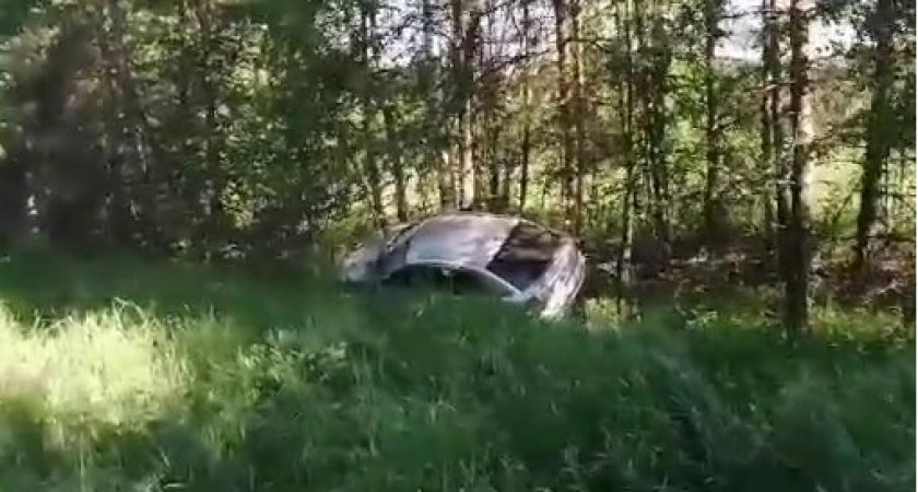 Пьяный водитель вылетел в кювет в Семёновском районе