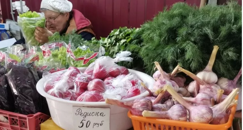 Фото к статье: Нижегородские дачники продающие свой урожай: "Переживем санкции" 
