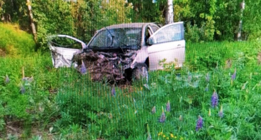 Пьяный водитель улетел в кювет и погубил пассажира в Нижнем Новгороде 