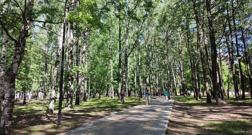 В Нижнем Новгороде упадет температура воздуха: погода на 28 июня