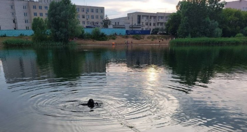 В Нижнем Новгороде на Силикатном озере утонул молодой парень