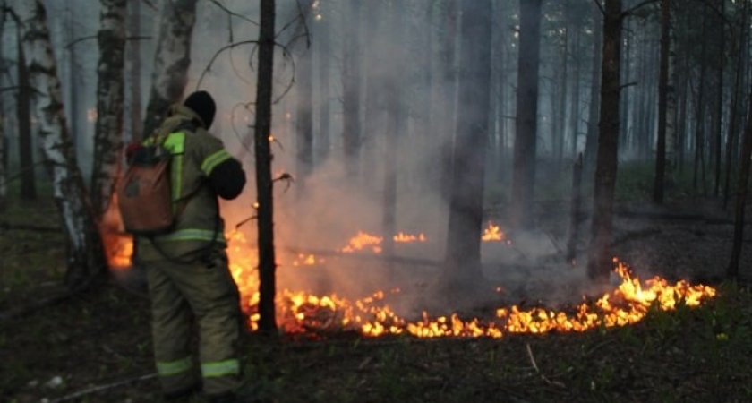 Во время учебных стрельб в Нижегородской области загорелся лес