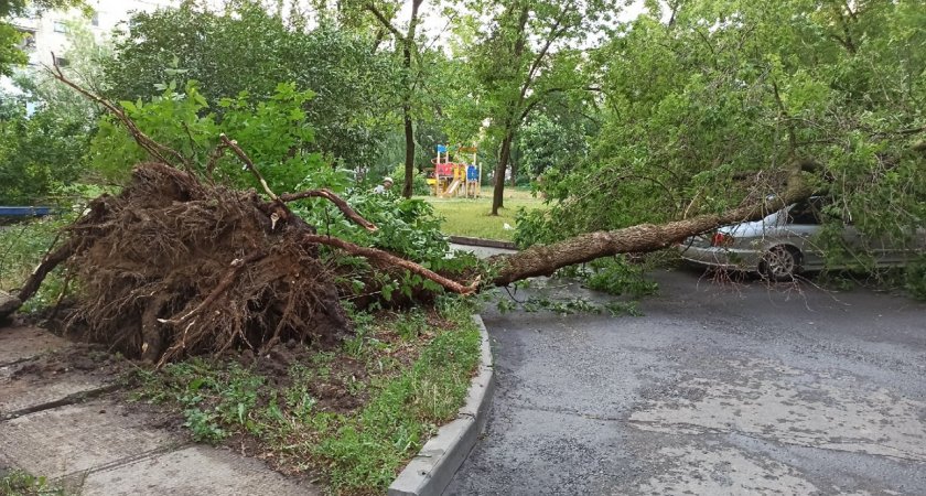 Сносил крыши, топил дороги и рушил деревья на авто: в Сарове прошел сильный ураган