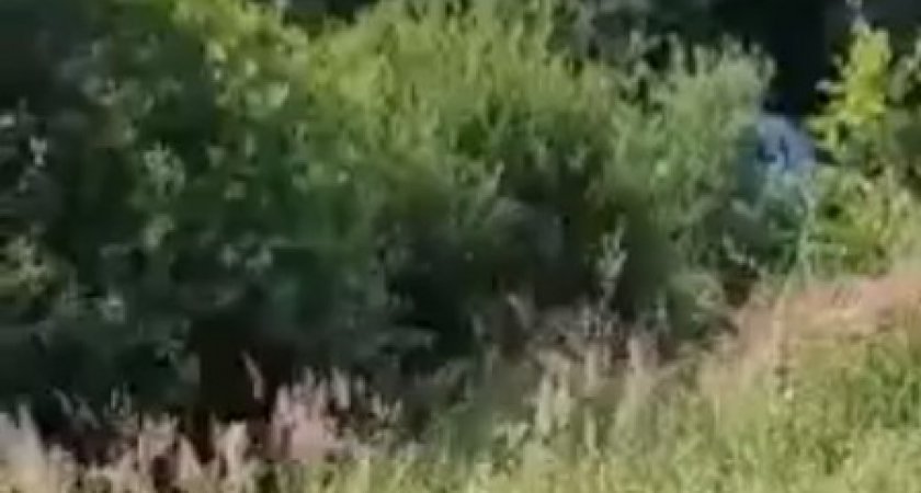 В Нижегородской области 77-летний водитель не вписался в поворот и вылетел в кювет 