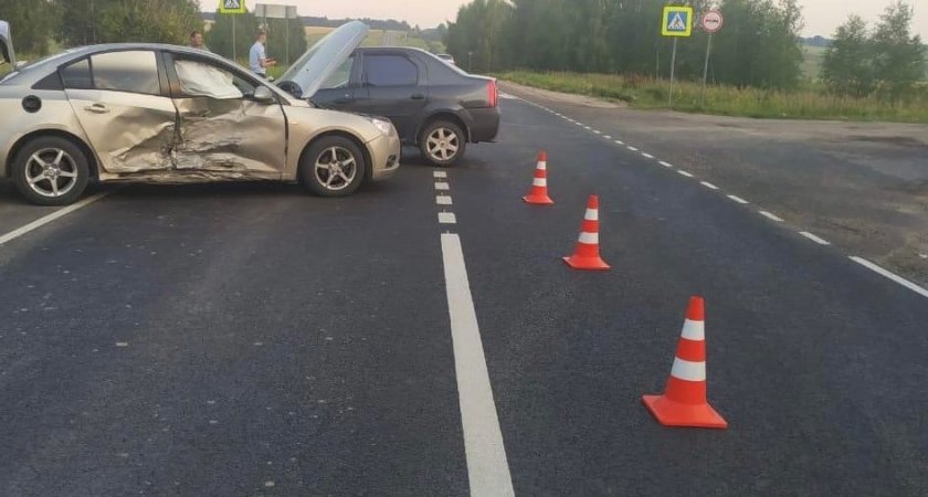 В Сеченово водитель на "Рено" вылетел в кювет и погиб