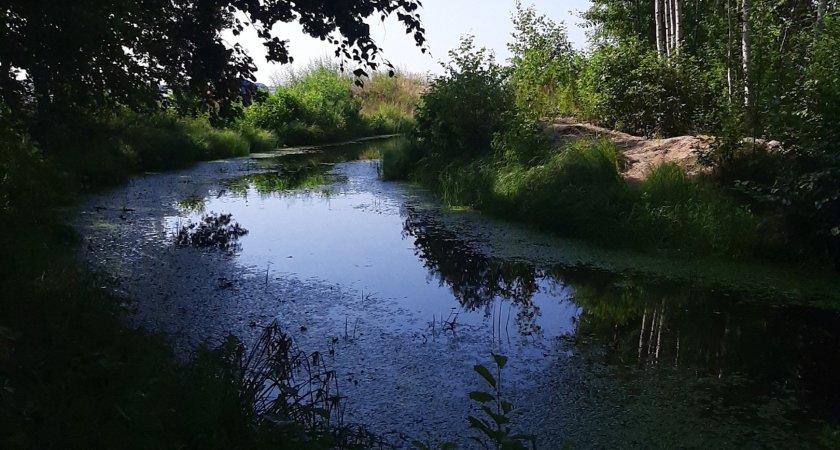 Житель Кстово утонул во время рыбалки