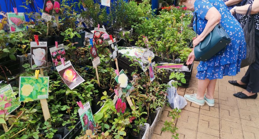 Нижегородским пенсионерам выделят доплату