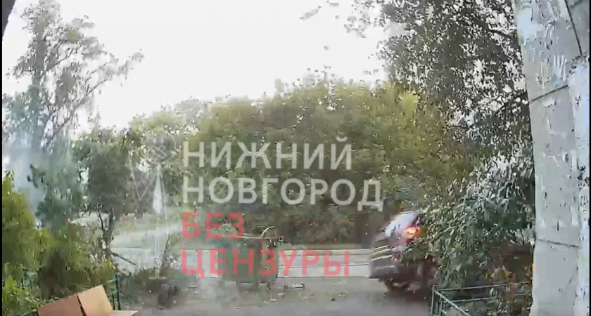 В Ленинском районе водитель, уходя от погони снес мусорку и дерево