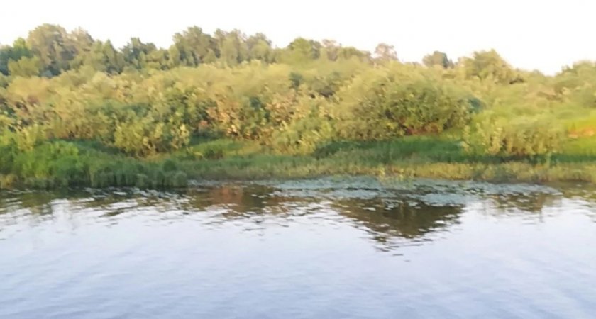 В Лукояновском районе Нижегородской области утонул неизвестный мужчина